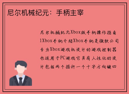 尼尔机械纪元:手柄主宰
